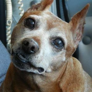 Meet your Posher, Heather